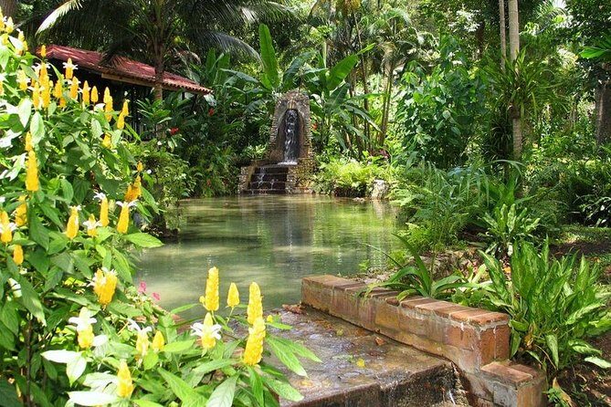 Eco Explorers Waterfall, Rainforest, local Shopping with lunch - The Sum Up