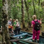 Eco Jungle - 2 Days / 1 Night - What This Tour Means for You as a Traveler