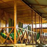 Eco Jungle - 3 Days / 2 Nights - Practical Aspects and What You Should Know