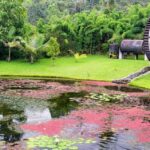 Eco-Park Recinto del Pensamiento Tour - Exploring the Ecosystems and Birdwatching