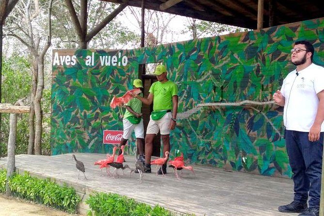Eco Plan National Aviary and Lunch in Playa Mambo Beach Barú - Why This Tour Works