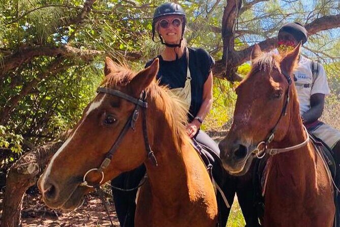 ECO Tour East Coast Barbados - The Value of This Eco Tour