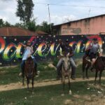 Eco-Tour on Horseback - Authentic Experiences and Guest Perspectives