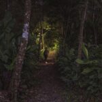 Ecogarden Arenal Night Walk - The Experience in Detail