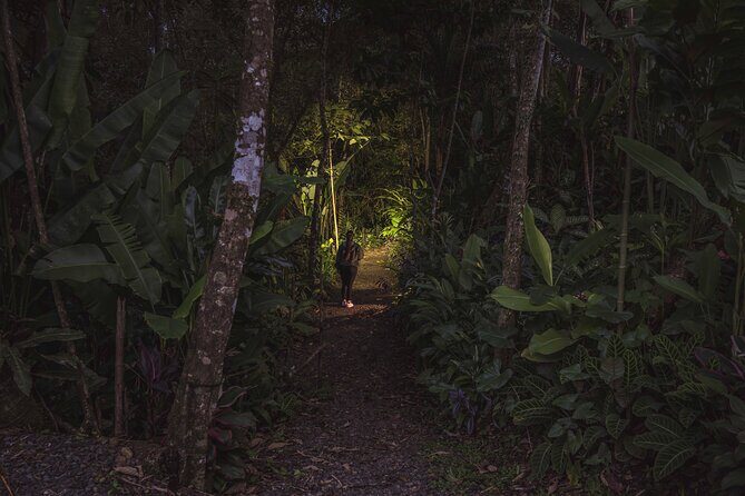Ecogarden Arenal Night Walk - The Experience in Detail