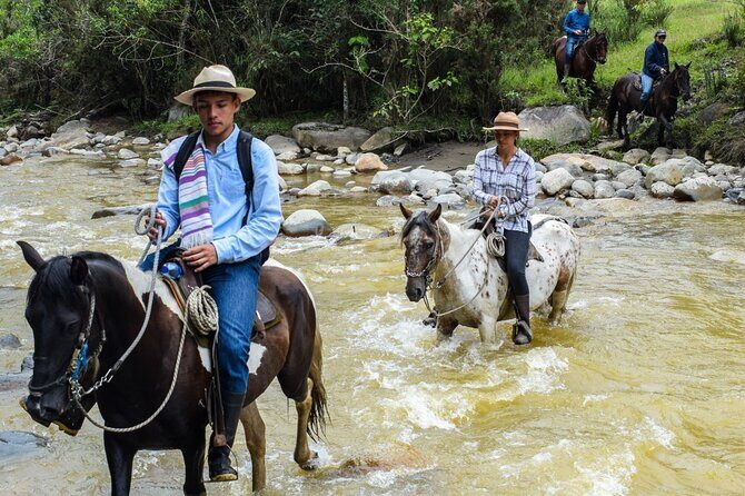 Ecological Horseback Riding in Murillo Tolima. - Final Thoughts