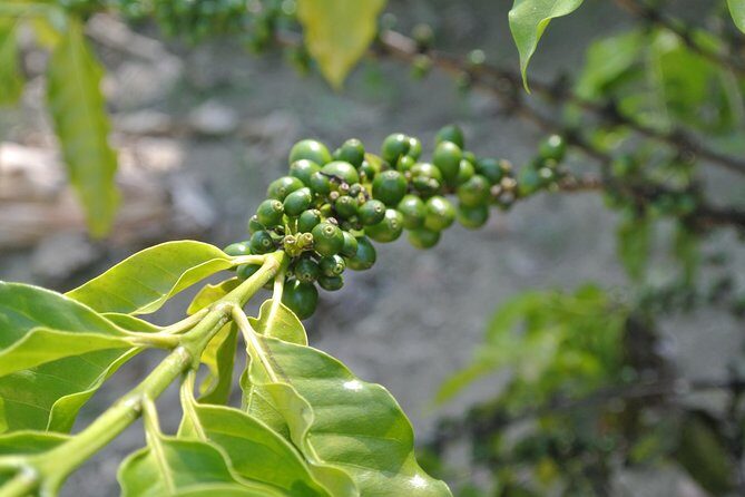 Ecological Park & Boat ride on the River - Why This Tour Offers Great Value