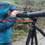 Ecuador Birds Tour & Mindo Cloud Forest - by Richard Hernandez - What Travelers Say