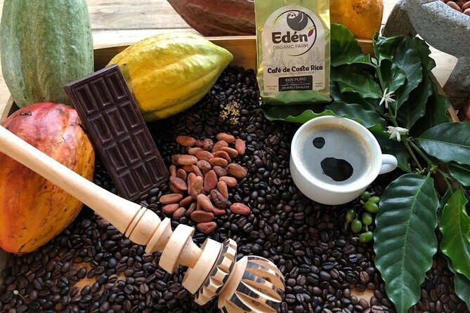 Eden Mocca Tour - Final Thoughts: Is the Eden Mocca Tour Worth It?