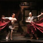 El Aljibe Tango Show, Semi-Private Transfers with Optional Dinner - The Sum Up