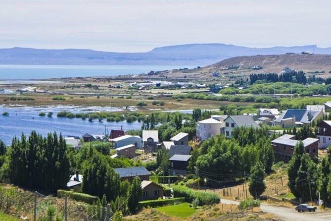 El Calafate: Day Trip to the spectacular Petrified Forest La Leona - Practical Details and Tips