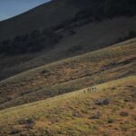 El Calafate: Horseback Riding in Cerro Frias - Final Thoughts: Is It Worth It?