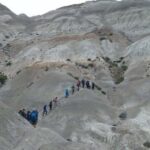El Calafate: La Leona Petrified Forest Day Trip - Who Will Love This Tour?