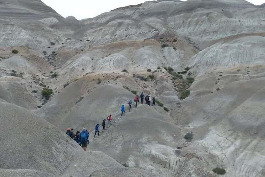 El Calafate: La Leona Petrified Forest Day Trip - Who Will Love This Tour?
