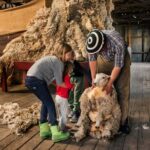 El Calafate: Nibepo Aike Ranch with Horseback Riding - A Deep Dive into the Nibepo Aike Ranch Tour