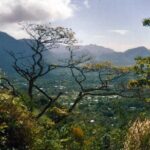 El Valle de Anton Tour from Panama City - Final Thoughts: Who Should Consider This Tour?