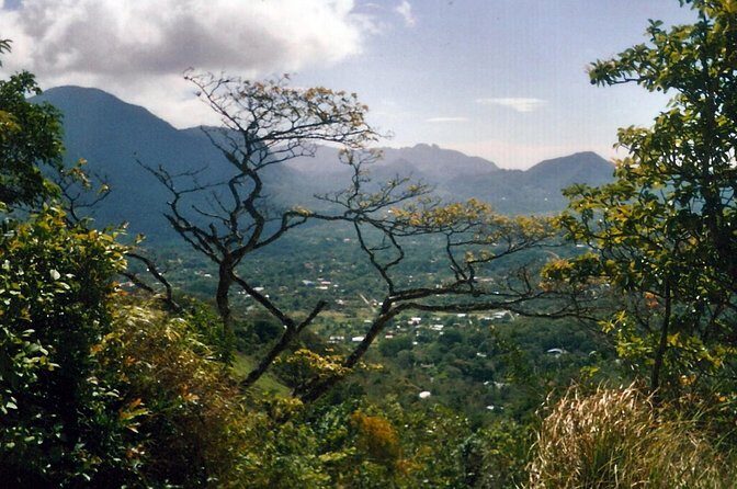 El Valle de Anton Tour from Panama City - Final Thoughts: Who Should Consider This Tour?