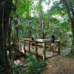 El Yunque Beach Jetski + Rainforest Hike Adventure Tour - The Itinerary Breakdown