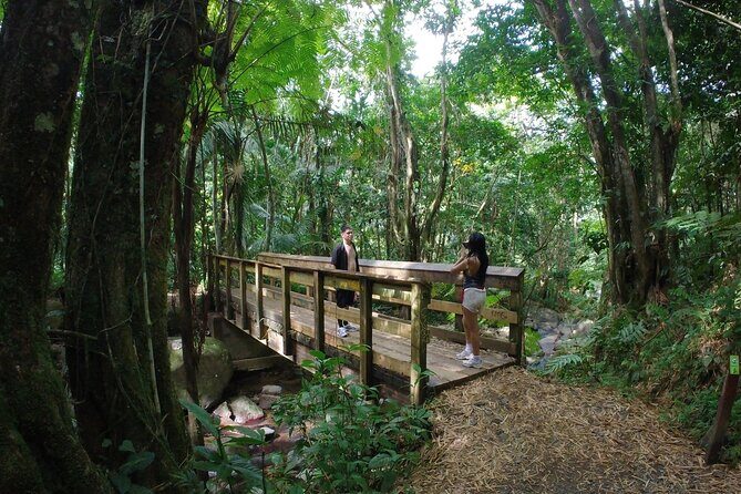 El Yunque Beach Jetski + Rainforest Hike Adventure Tour - The Itinerary Breakdown