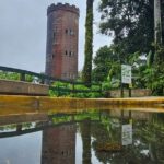 El Yunque National Forest and Luquillo Kiosks Combo - Exploring the Itinerary in Detail