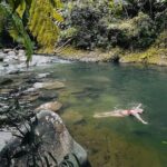 El Yunque National Forest Guided Tour with Transport - FAQs About the El Yunque Guided Tour