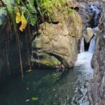 El Yunque Rainforest and Luquillo Kiosk Day Trip - Why This Tour Works for Travelers
