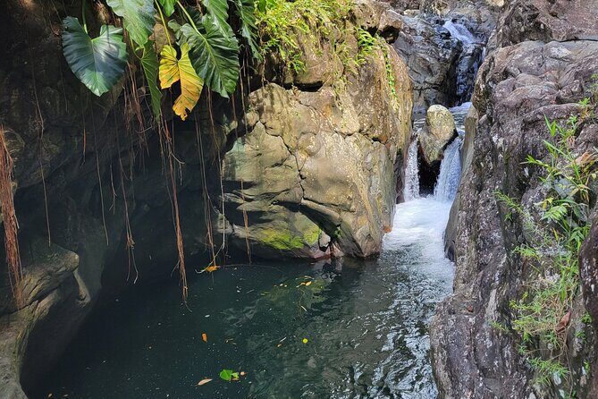 El Yunque Rainforest and Luquillo Kiosk Day Trip - Why This Tour Works for Travelers