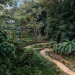 El Yunque Rainforest EZ-going Bus Tour (wheelchair accessible) - A Detailed Look at the El Yunque Rainforest EZ-going Bus Tour