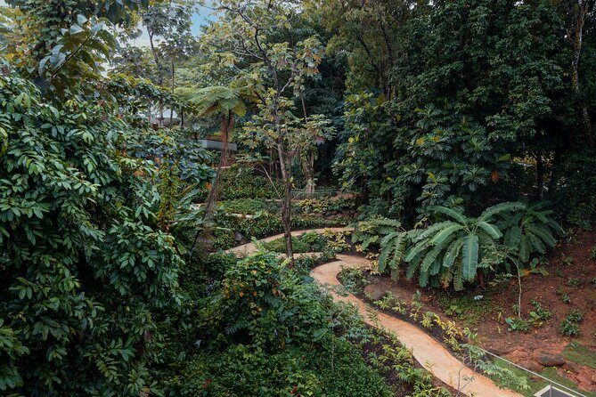 El Yunque Rainforest EZ-going Bus Tour (wheelchair accessible) - A Detailed Look at the El Yunque Rainforest EZ-going Bus Tour