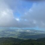 El Yunque Rainforest Guided Day Tour from San Juan - Who Should Book This Tour?