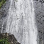 El Yunque Rainforest Guided Tour - Walking Trails, Waterfalls, and Views