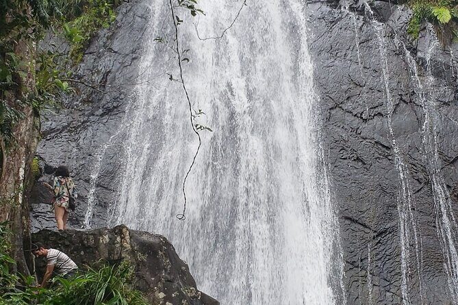 El Yunque Rainforest Guided Tour - Walking Trails, Waterfalls, and Views