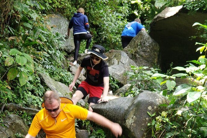 El Yunque Rainforest Guided Tour - Why This Tour Offers Great Value