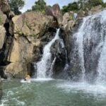 El Yunque Rainforest Hike and Luquillo Beach Tour - The Sum Up: Who Will Love This Tour?