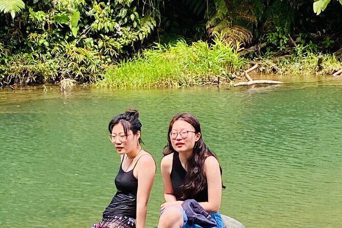 El Yunque Rainforest Hiking Tour from San Juan - The Authenticity and Experience from Reviews