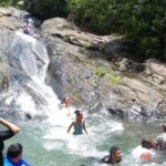 El Yunque Rainforest Party Tour with Waterslide and Rope Swinging - A Closer Look at the El Yunque Rainforest Party Tour