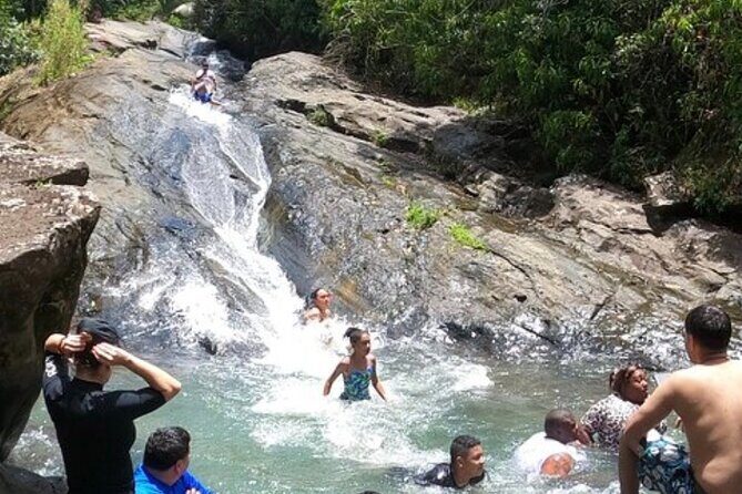 El Yunque Rainforest Party Tour with Waterslide and Rope Swinging - A Closer Look at the El Yunque Rainforest Party Tour