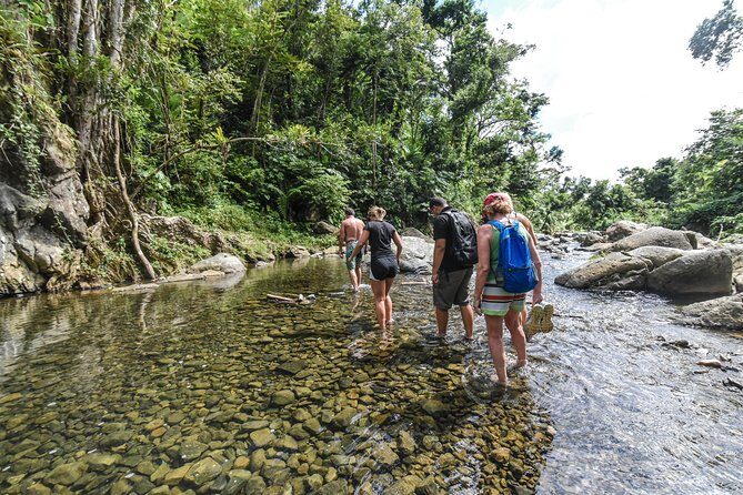 El Yunque Rainforest Tour from Fajardo - FAQ About the El Yunque Rainforest Tour from Fajardo