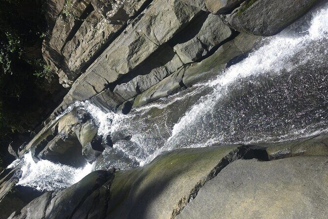 El Yunque Rainforest Waterslides and Luquillo Beach Tour - Who Will Love This Tour?