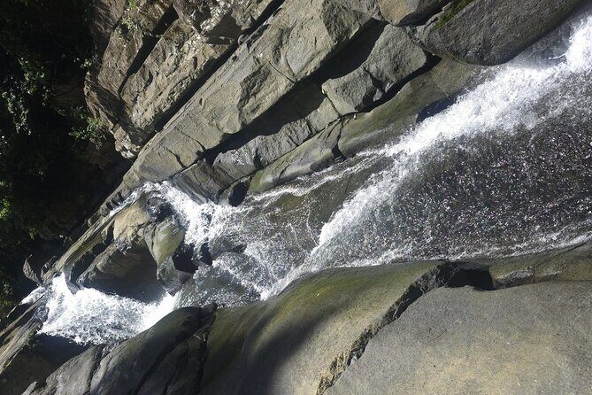 El Yunque Rainforest Waterslides Transport from San Juan - The Practicalities: Transport, Timing, and Value