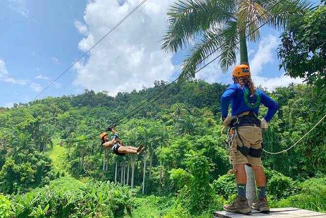 El Yunque Ziplining in Puerto Rico - Exploring the Details: What to Expect from the Tour