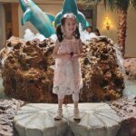 Electric Bus tour of Nassau with sampling of local food & drinks - FAQ