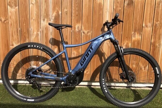 Electric Mountainbike Rental in Bonaire - Who Should Consider This Experience?