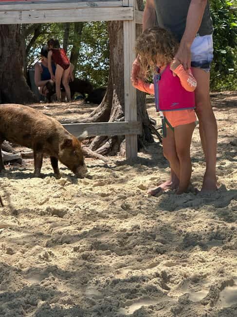 Eleuthera Adventure: Swings, Pigs, and Reefs - The Sum Up