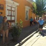 Elqui Valley and Vicuna Private Tour Including Lunch - A Deep Dive Into the Elqui Valley and Vicuña Tour