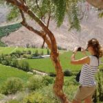Elqui Valley Tour: Full Day History and Flavors - Final Thoughts