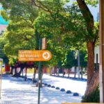 Embalse el Yeso: Full-day tour with picnic. - Who Will Love This Tour