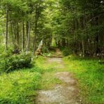 Emerald Lagoon Private Trekking Tour - Why This Tour Offers Great Value