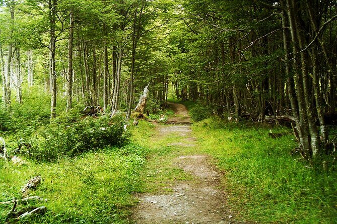 Emerald Lagoon Private Trekking Tour - Why This Tour Offers Great Value