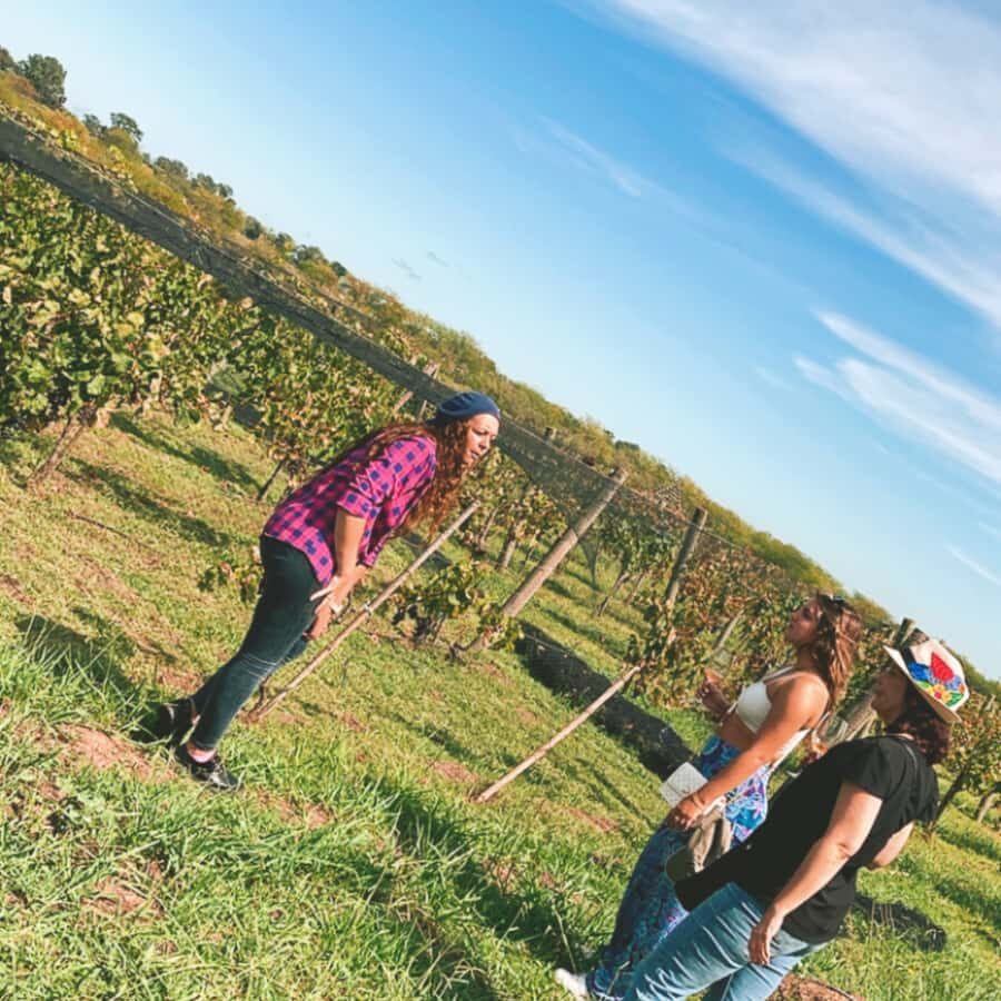 Enjoy a Rural Experience in a Vineyard near Buenos Aires - An In-Depth Look at the Vineyard Experience